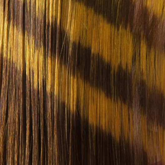 The Royal Retouch (Roots) at RĒMYX BEAUTY BRAND + COLOR BAR in Dallas, TX